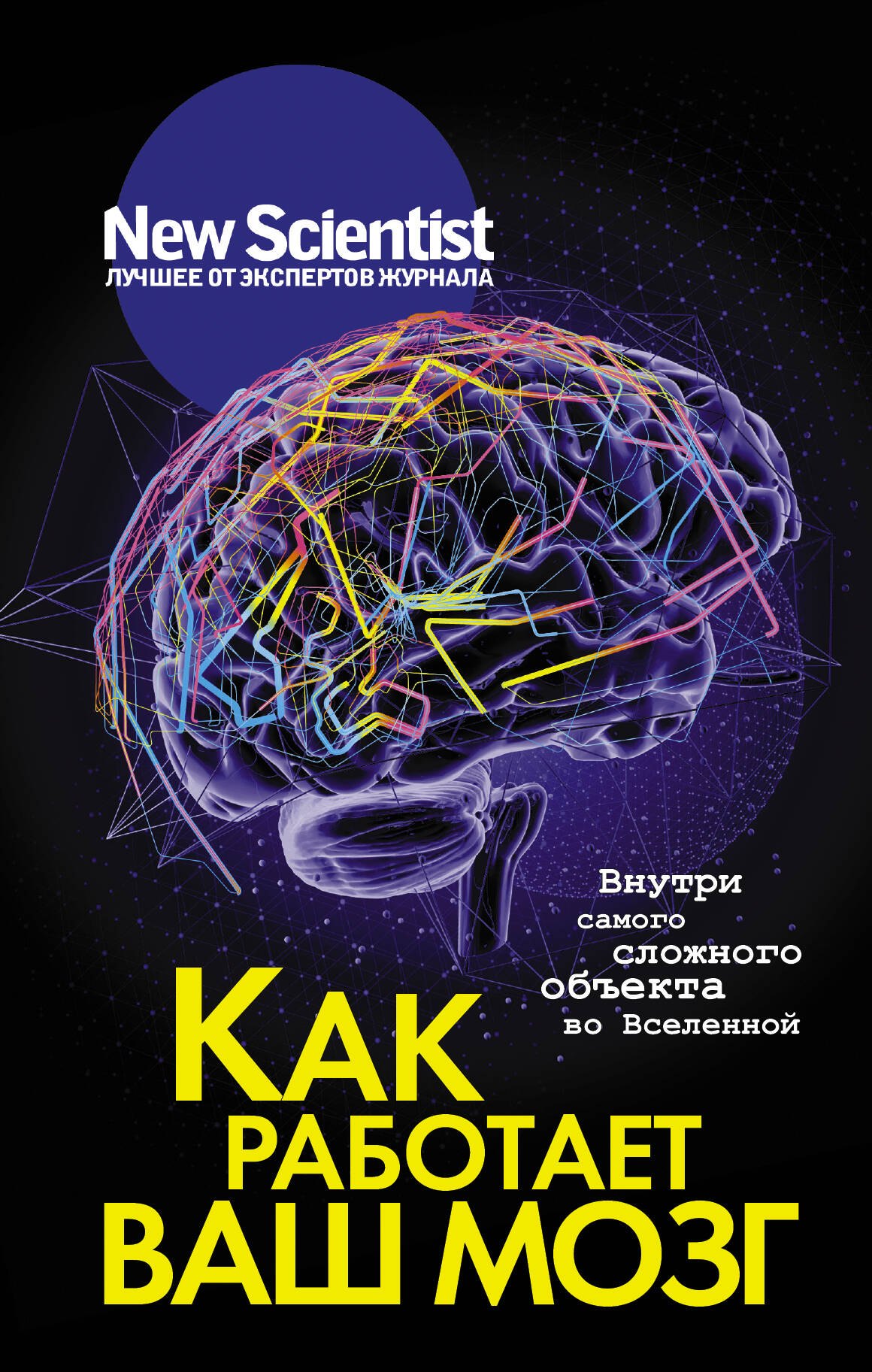 

Как работает ваш мозг