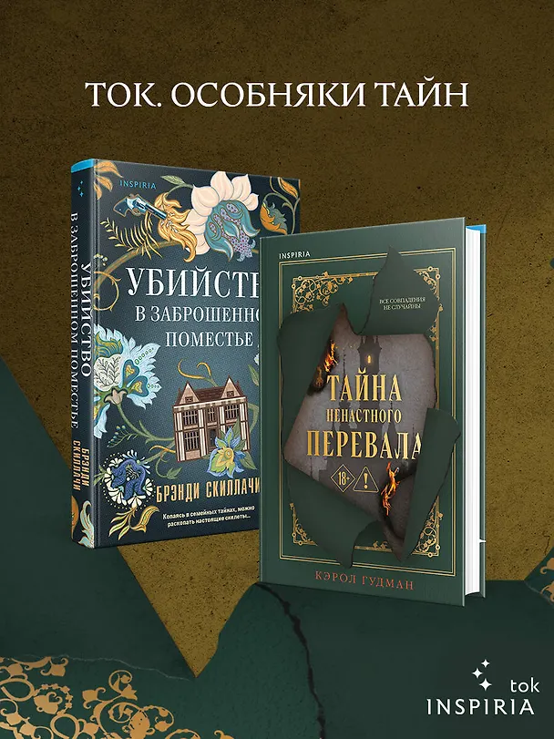 Книга Тайна Ненастного Перевала (Кэрол Гудмэн) — 7