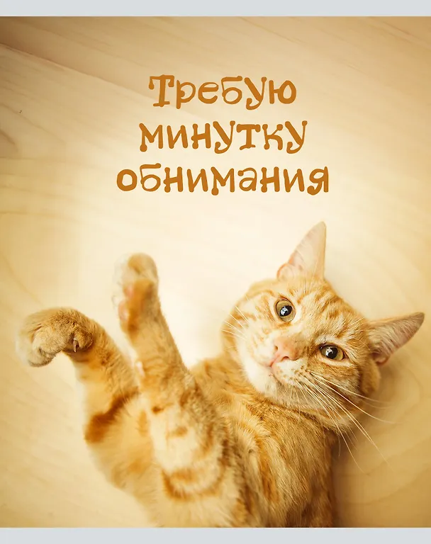 Тетрадь общая «Кото - терапия», 48 листов в линейку, А5, в ассортименте - Listoff 3149237 — 3