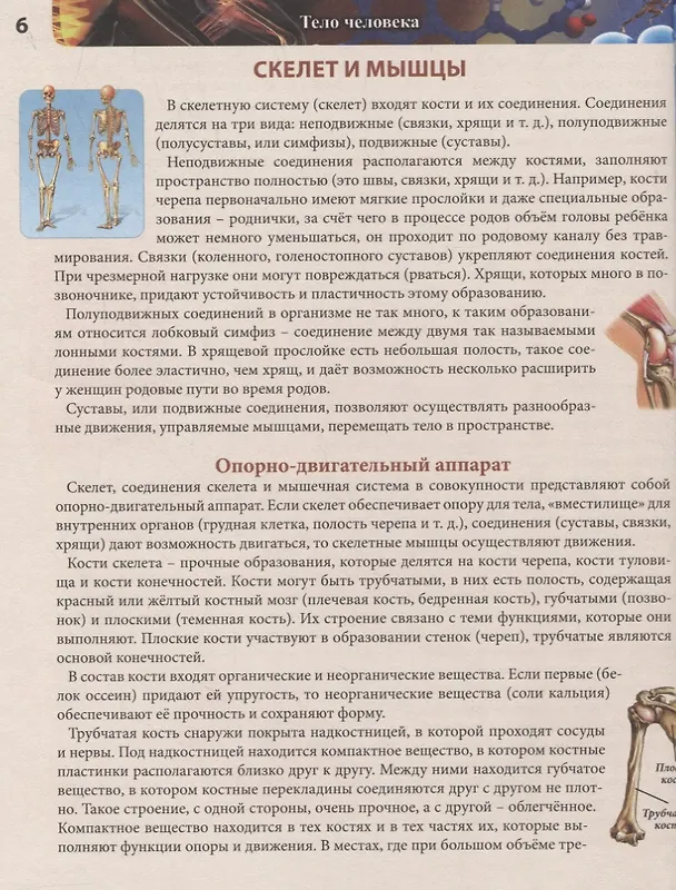 Книга Тело человека. Энциклопедия () — 5