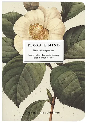 Тетрадь в клетку Be Smart, "Flora. Камелия", 40 листов 3032050