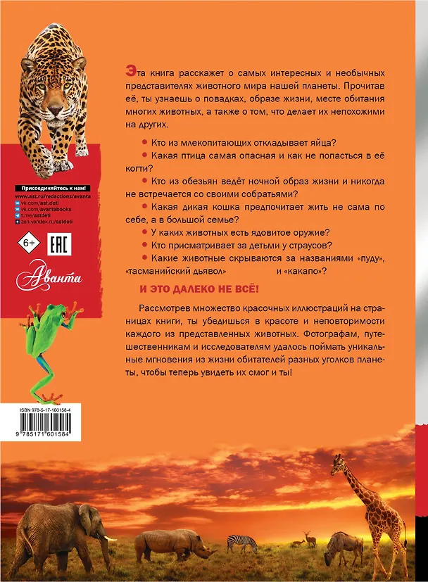 Книга Животные (Мира Филиппова, Любовь Вайткене) — 2
