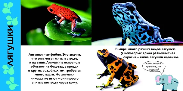 Книга Зоопарк () — 3