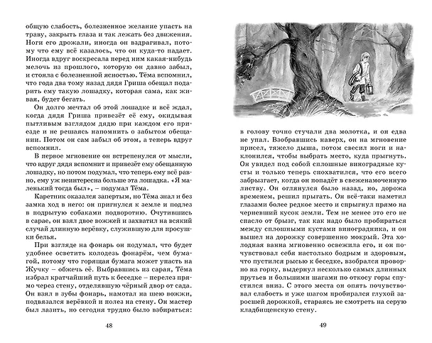 Книга Детство Тёмы (Николай Гарин-Михайловский) — 22