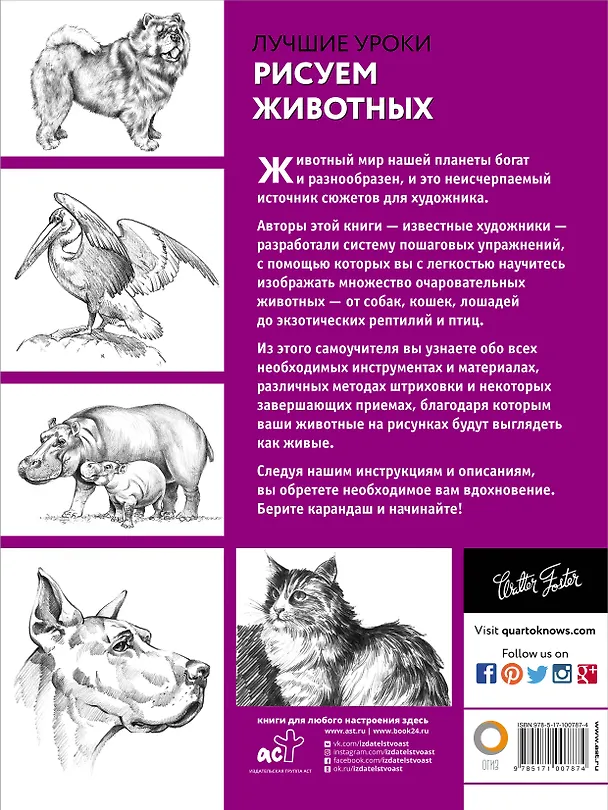 Книга Рисуем животных (Анна Степанова) — 2