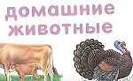 Плакат Цветы Домашние животные (4598) (АСТ) 1801140 — 1