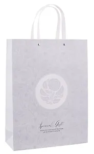 Пакет А3 32*42*11,5 "Special gift" жен., бум.мат.ламинат