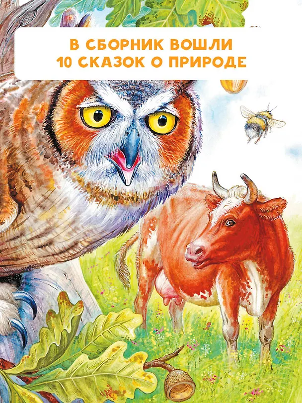 Книга Лис и Мышонок. Сказки (Виталий Бианки) — 7