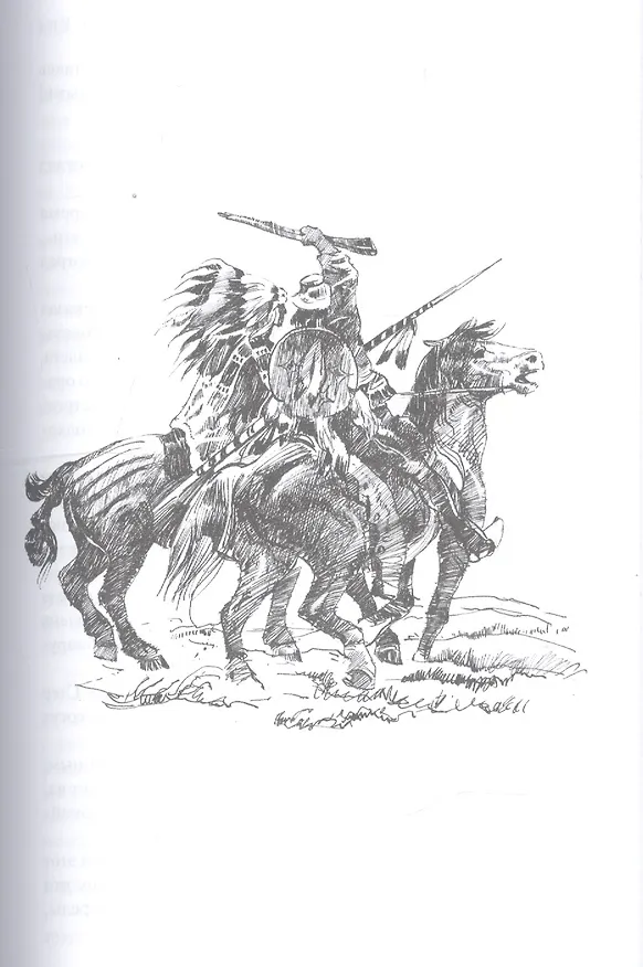 Книга Охотники за скальпами. Бандолеро. Поэзия (Томас Рид) — 6