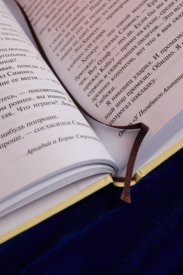 Книга Отель "У погибшего альпиниста" (Борис Стругацкий, Аркадий Стругацкий) — 9