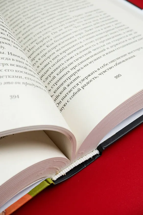 Книга Земля под ее ногами (Салман Рушди) — 12