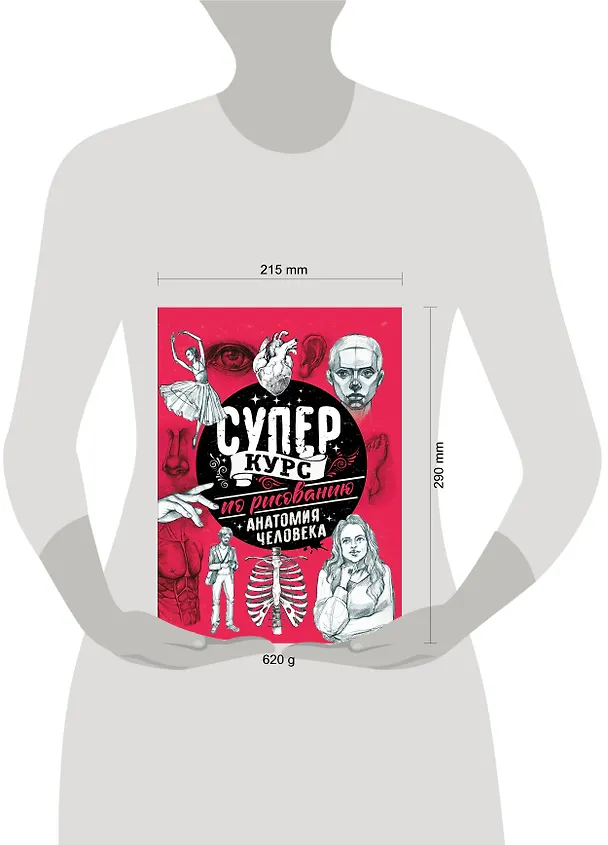 Книга Суперкурс по рисованию. Анатомия человека (Мистер Грей) — 4