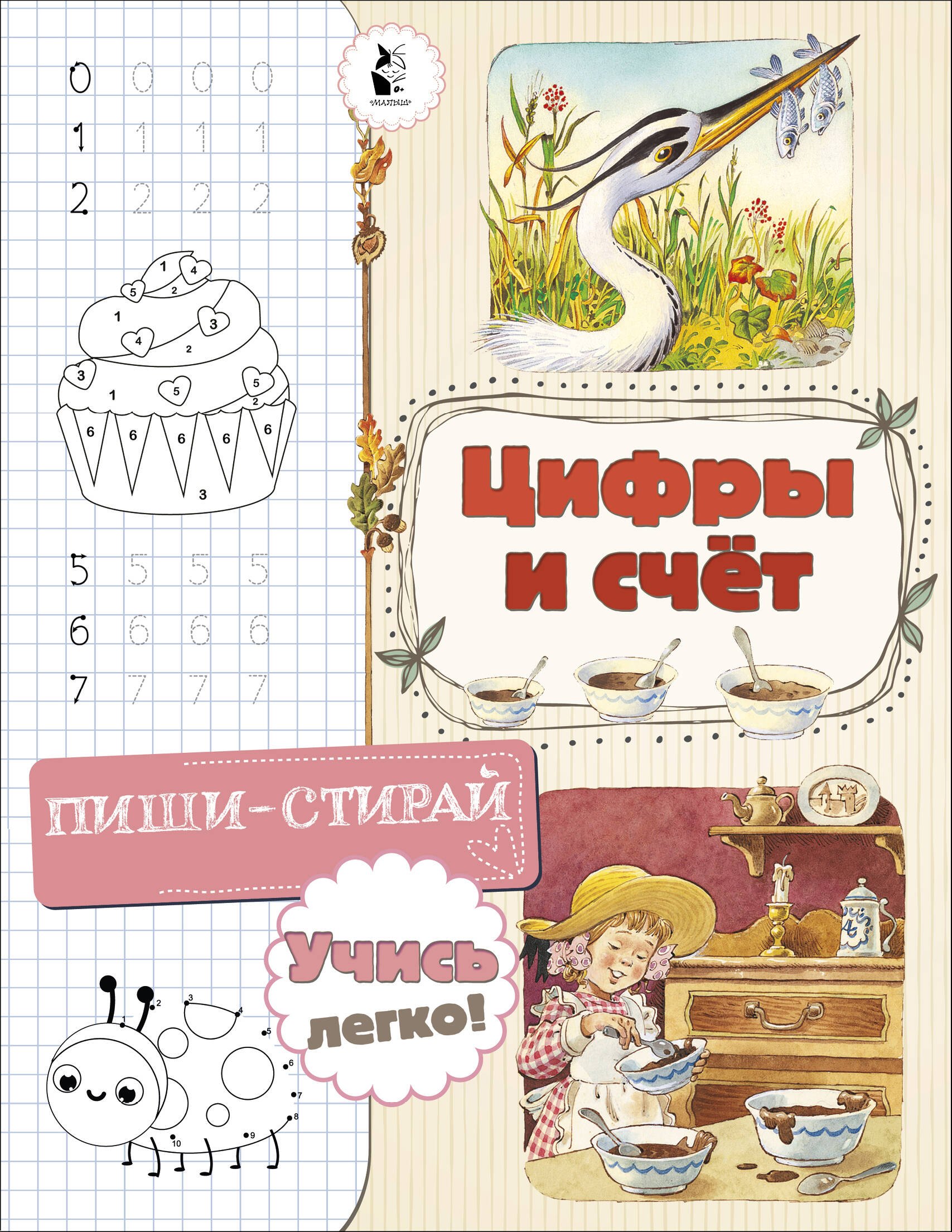 

Цифры и счет