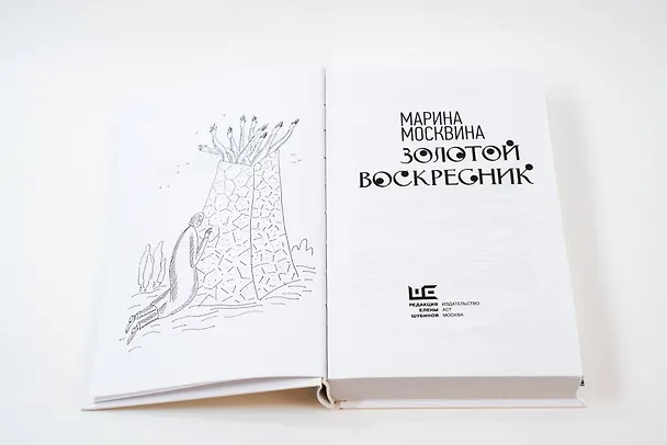 Книга Золотой воскресник (Марина Москвина) — 9