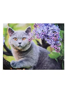 Алмазная мозаика Любопытный котик, 30*40 см.