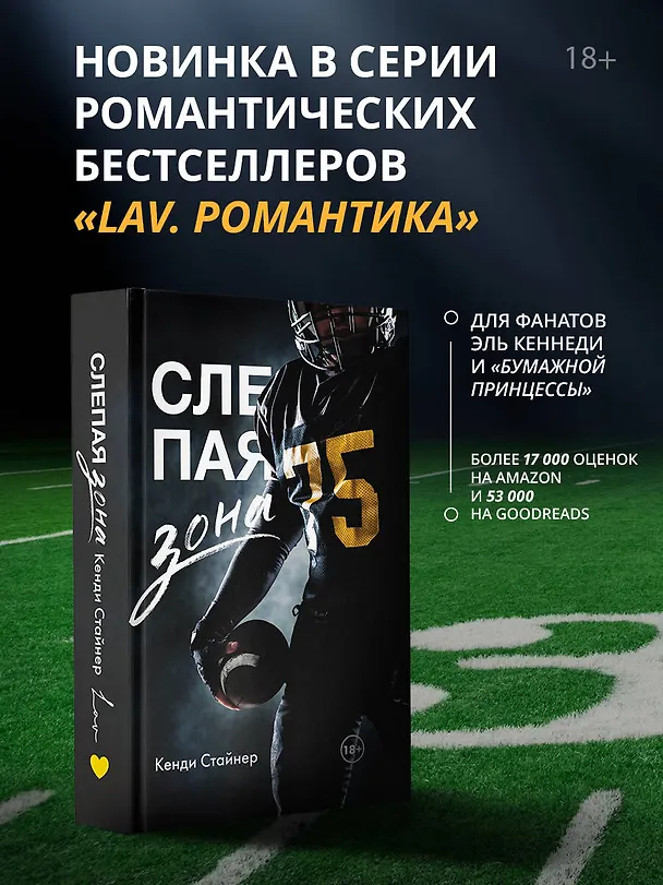 Книга Слепая зона (Кэнди Стайнер) — 5