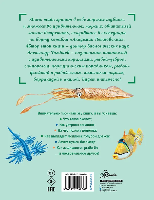 Книга Как увидеть морское дно? (Александр Тамбиев) — 2