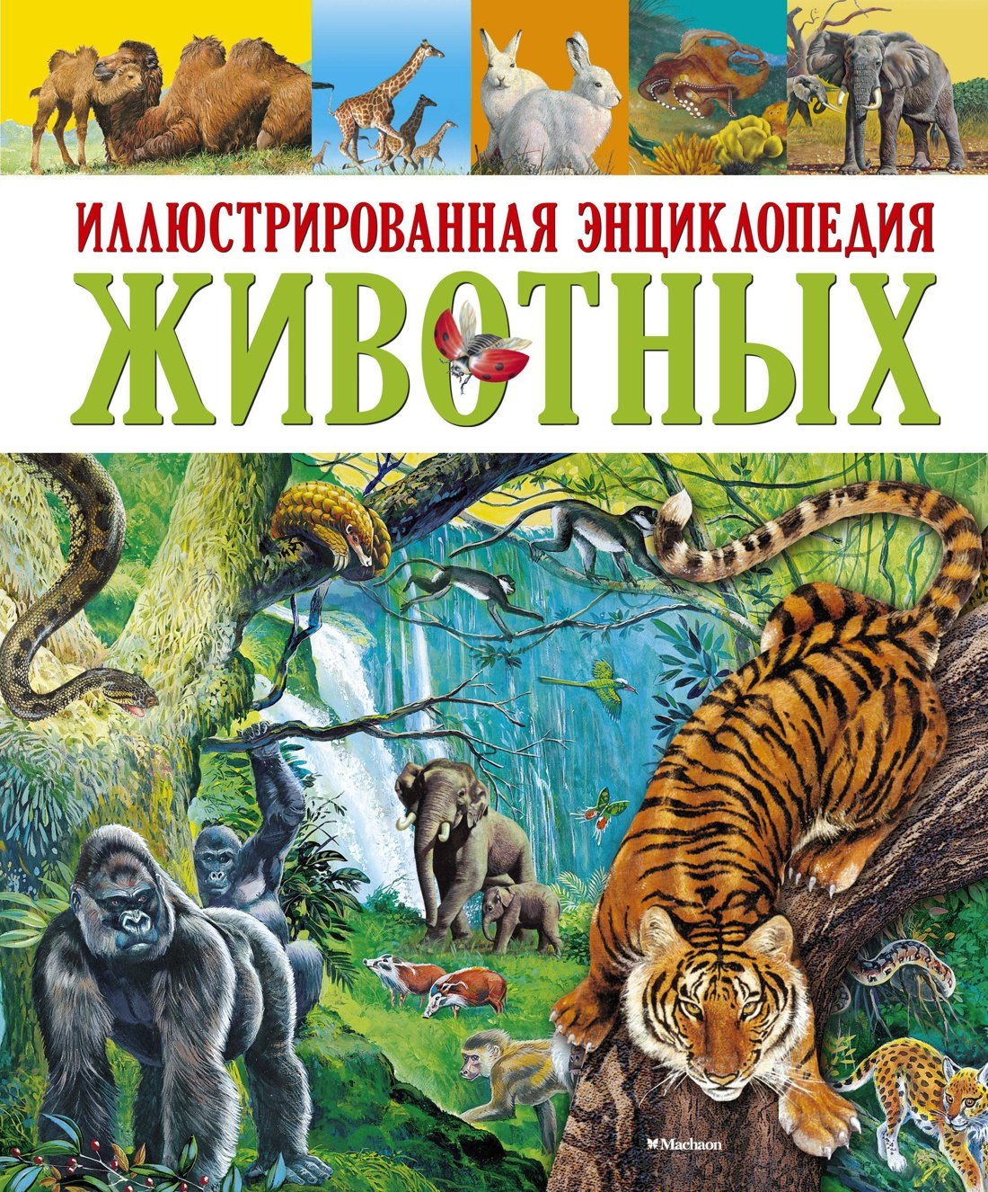 

Иллюстрированная энциклопедия животных