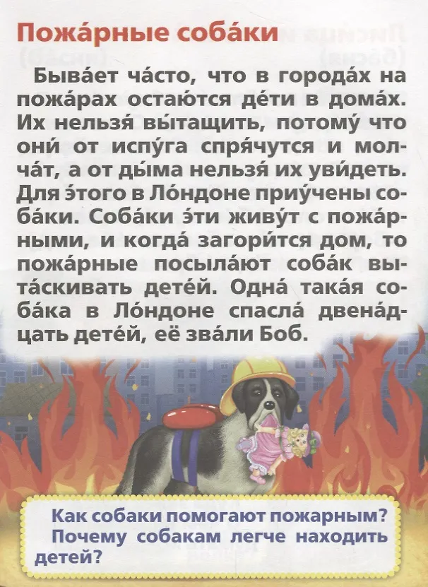 Книга Первое чтение (Мульткнижка (Мария Жукова) — 5