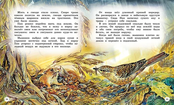 Книга Сказки и рассказы о животных (Виталий Бианки) — 13