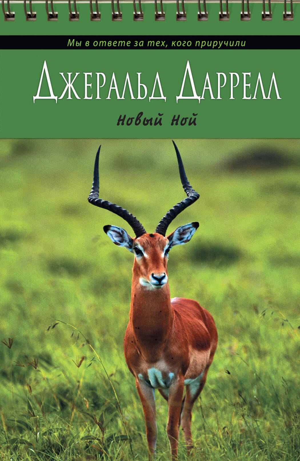 

Новый Ной