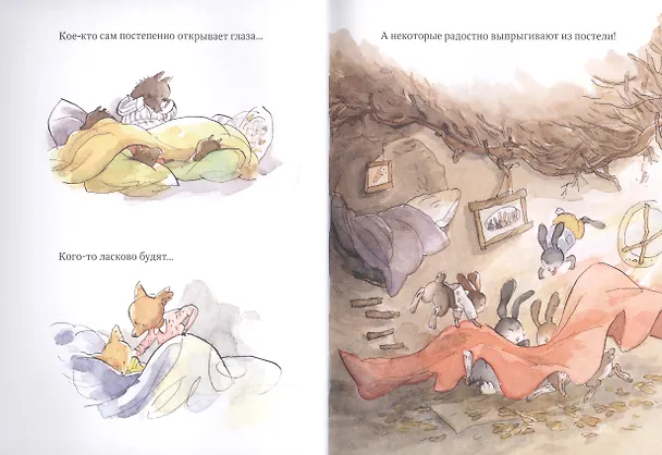 Книга Дом (Селин Клер) — 5