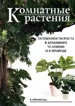 Комнатные растения: Особенности роста в домашних условиях и в природе — 2104114 — 1