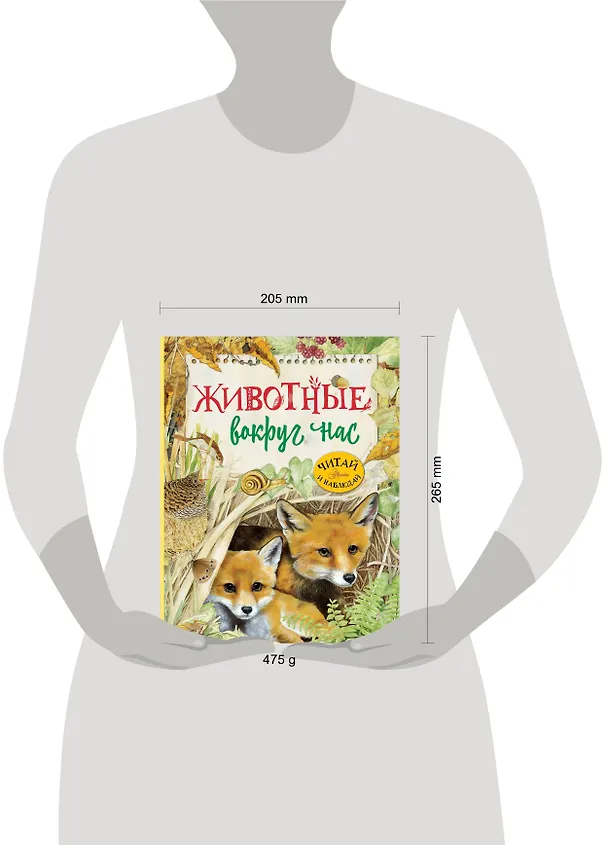 Книга Животные вокруг нас (Р. Барсотти) — 4