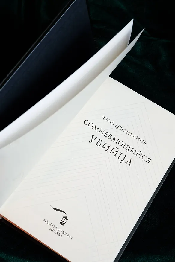 Книга Сомневающийся убийца (Цзюньлинь Чэнь) — 14