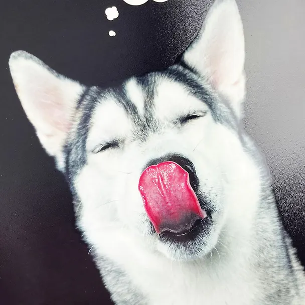 Тетрадь общая «Selfie dog», 48 листов в клетку, A5, в ассортименте - Listoff 3039395 — 5