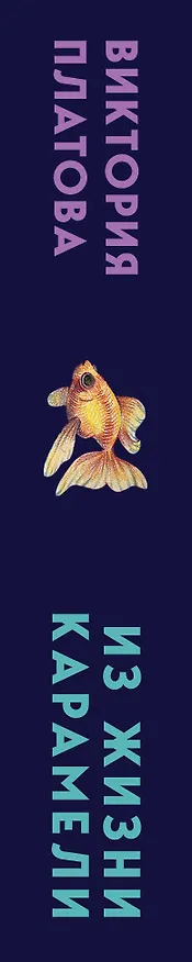 Книга Из жизни карамели (Виктория Платова) — 3