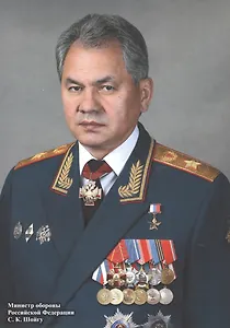 Портрет "Министр обороны Российской Федерации С. К. Шойгу"