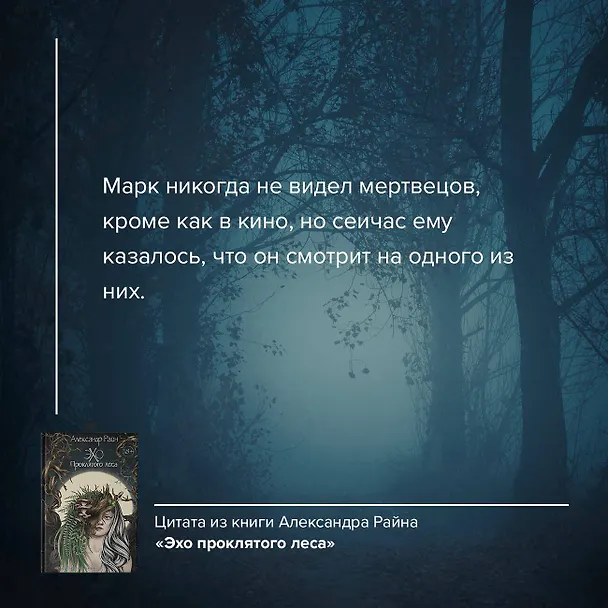 Книга Эхо проклятого леса (Александр Райн) — 7