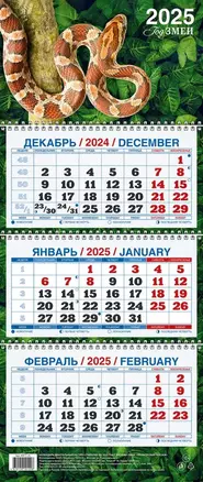 Календарь квартальный 2025г 195*465 "ГОД ЗМЕИ В2" настенный, трёхблочный, спираль — 3053953 — 1