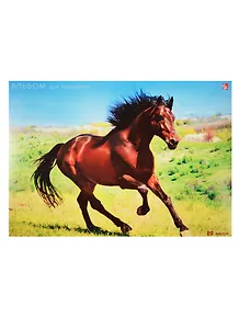 Альбом для рисования Unnika, "Благородный конь", А4, 20 листов, на склейке