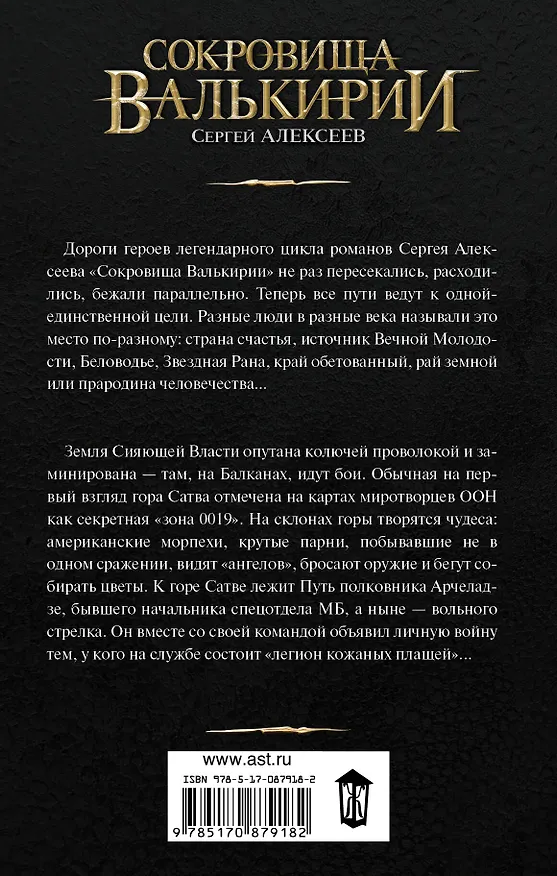 Книга Сокровища Валькирии. Земля Сияющей Власти: роман (Сергей Алексеев) — 2