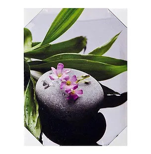 Картина Орхидея и камни (40х30) (740-146) 2430696