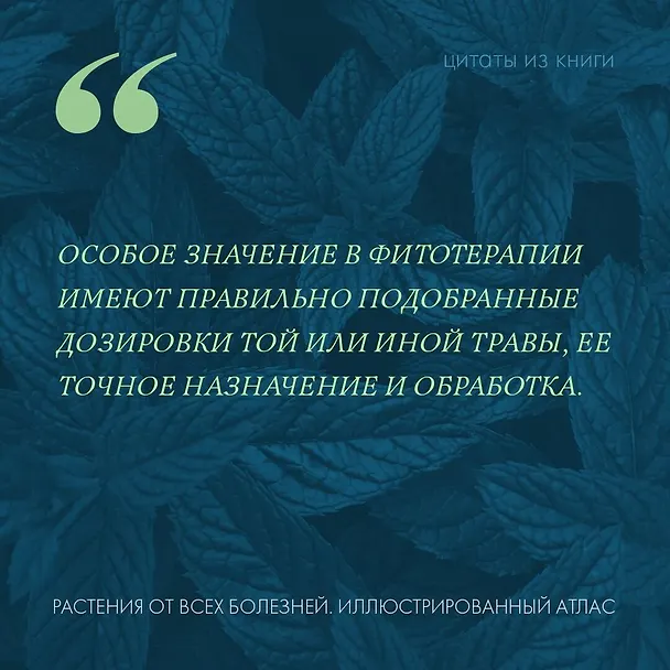 Книга Растения от всех болезней. Иллюстрированный атлас () — 9