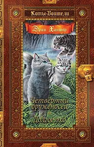 Четвертый оруженосец. Долгое эхо