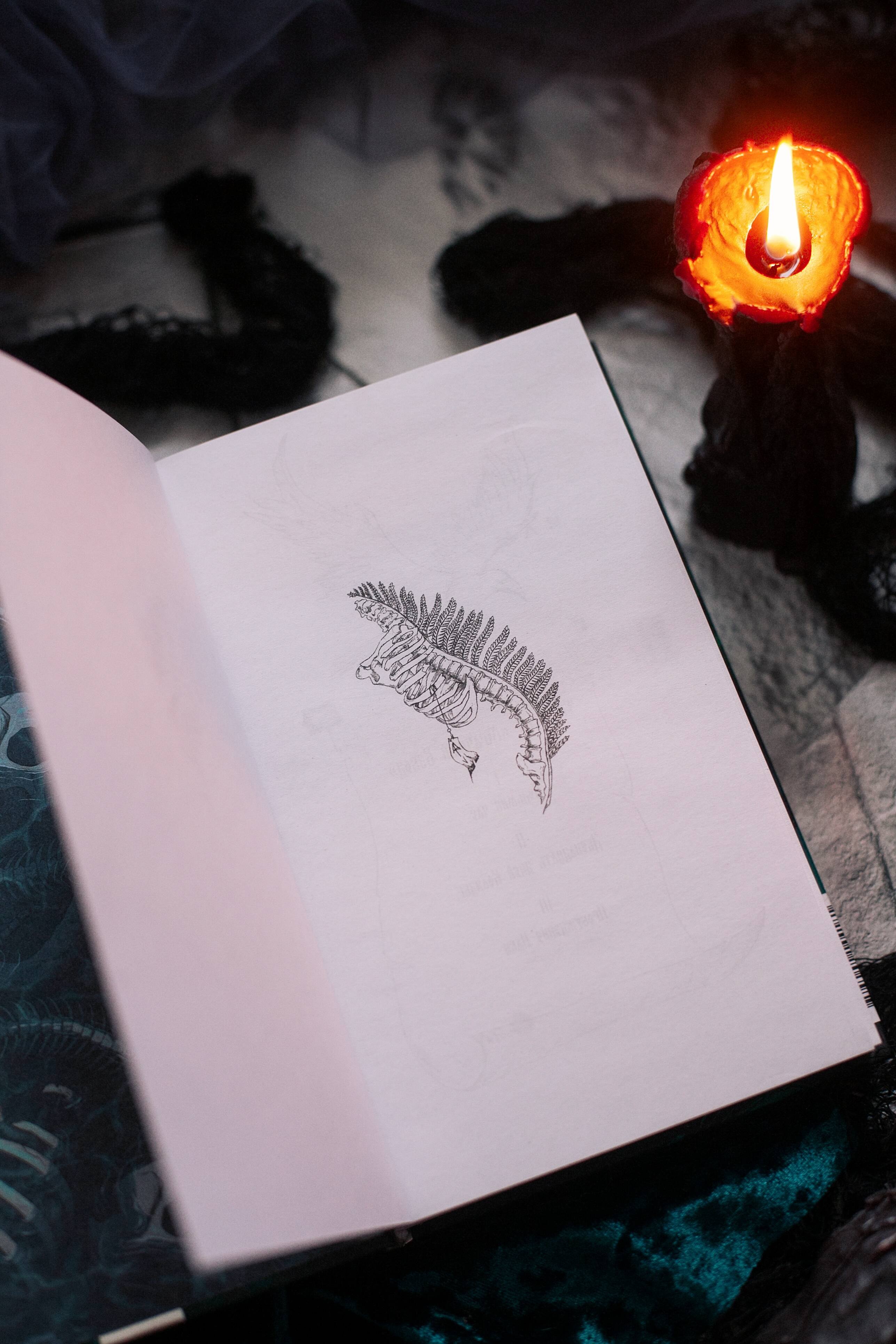 Изображение бумажной книги