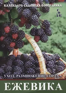 Ежевика. Уход, размножение, сорта