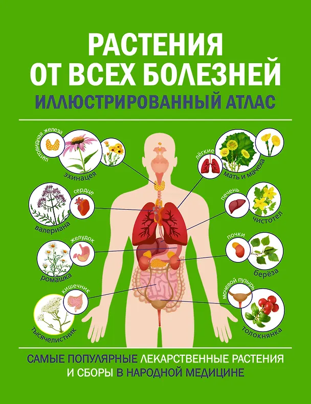 Книга Растения от всех болезней. Иллюстрированный атлас () — 1