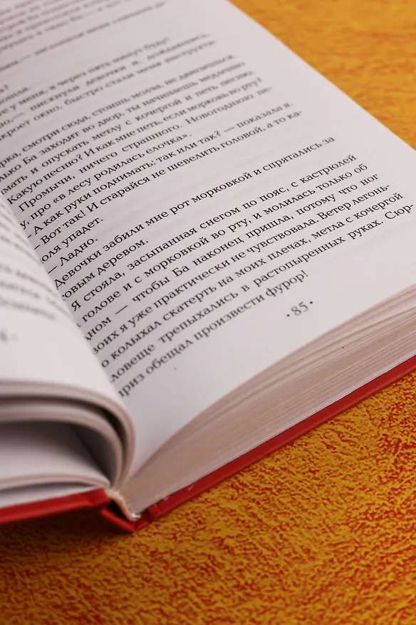 Книга Манюня пишет фантастичЫскЫй роман (Наринэ Абгарян) — 10