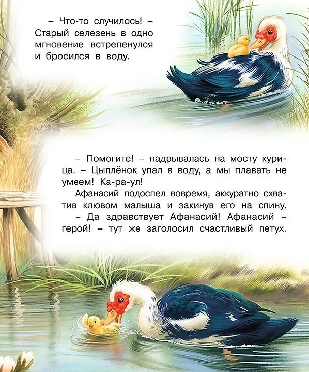Книга Селезень Афанасий и его друзья (мПозЧт) Гурина () — 4