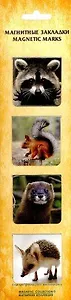 Набор магнитных закладок, 4шт. Лесные жители НМЗАсс-10