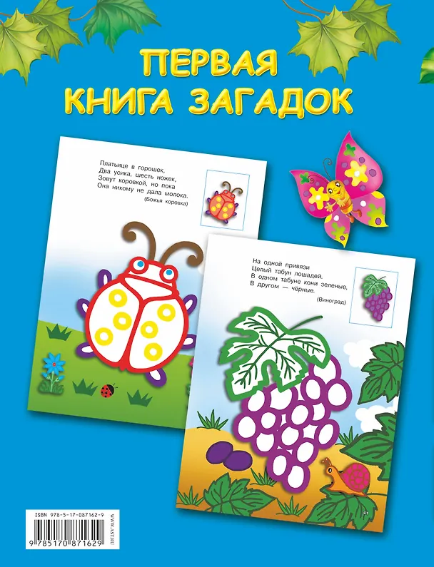 Книга Первая книга загадок (Валентина Дмитриева) — 2
