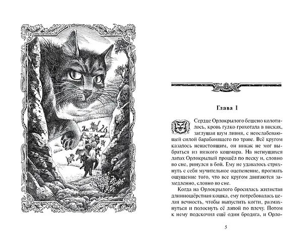 Книга Скитания (Эрин Хантер) — 2