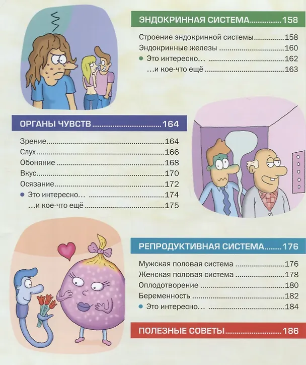 Книга Большая иллюстрированная энциклопедия. Все о теле человека () — 6
