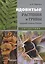 Ядовитые растения и грибы средней полосы России: Справочник — 2704485 — 1