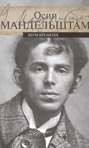 Шум времени